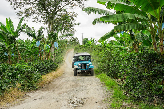 Colombia San Vicente